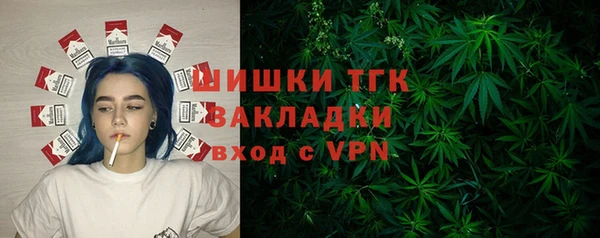 шишки Гвардейск
