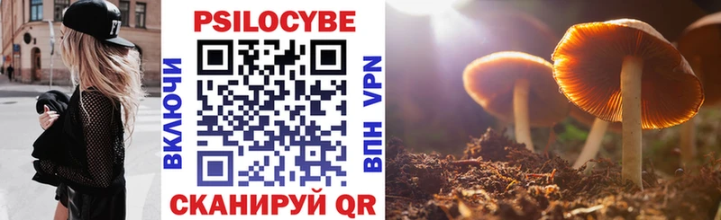 Галлюциногенные грибы Psilocybine cubensis  Воркута 